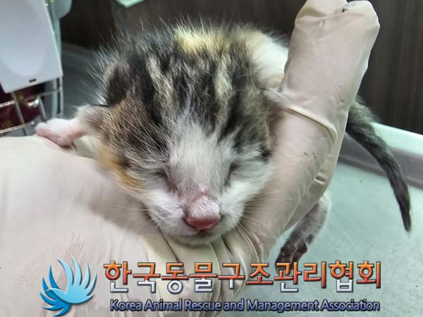 종료(자연사) 한국…